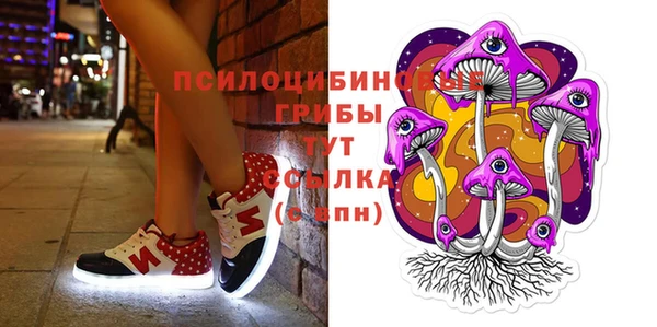 СК Магас