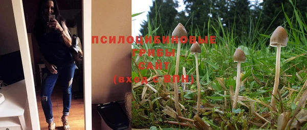 экстази Майский
