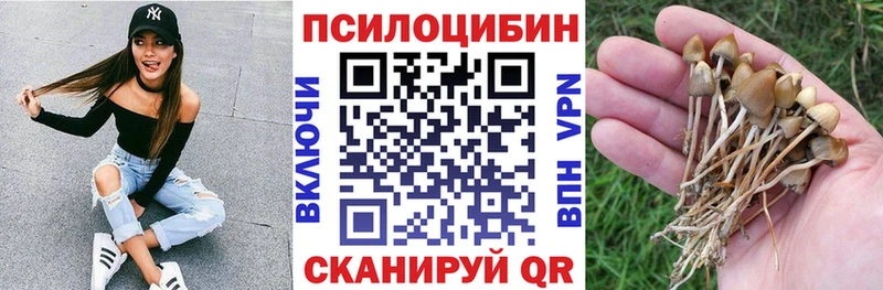 Галлюциногенные грибы ЛСД  Купить  Опочка 